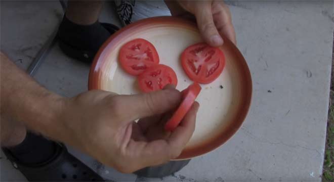 Stavio je kolutiće paradajza u saksiju: Evo šta se desilo nakon 2 nedelje! 