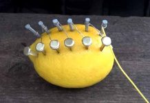 ZABIO JE EKSERE U LIMUN! Nećete verovati čega se dosetio! (VIDEO)