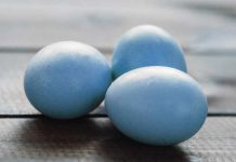 OVA KOKA NOSI OFARBANA JAJA: San svake lenje domaćice pred Uskrs