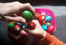 EVO KAKO DA POBEDITE U TUCANJU: Uz ove savete, sva jaja će biti vaša!