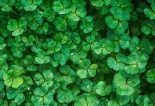 Narodna verovanja kod starih Srba