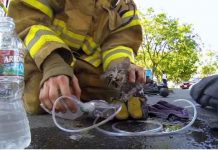 (VIDEO) 5 ISTINITIH PRIČA KOJE ĆE VAS INSPIRISATI: Plemenita dela koja vas neće ostaviti ravnodušnim