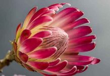 Dnevni horoskop za 18. jul 2016