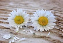 Dnevni horoskop za 28. jun 2016