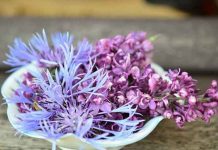 Dnevni horoskop za 22. jun 2016