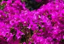 Dnevni horoskop za 7. jun 2016: Ovan uživa u ljubavi sa Bikom i Vodolijom, Blizanci se prilagođavaju, Raku potreban odmor Dnevni horoskop za 7. jun 2016