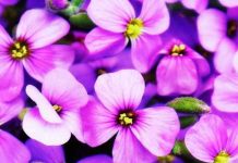 Dnevni horoskop za 9. jun 2016