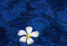 Dnevni horoskop za 8. jun 2016: Škorpiji se otvaraju prilike, Strelac pod pritiskom, Biku dobar period za biznis Dnevni horoskop za 15. avgust 2016.