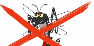 VITAMIN PROTIV KOMARACA: Kad ga popiješ, svi komarci će bežati od tebe!