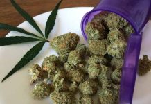 PRVO DUVAŠ, PA ONDA OPLJAČKAŠ FRIŽIDER: Evo zašto marihuana izaziva glad