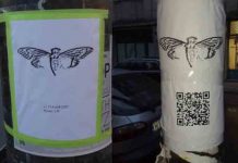 JEZIVA INTERNET MISTERIJA godinama zbunjuje ljude: Ovu zagonetku mogu da reše samo genijalci