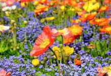 Dnevni horoskop za 14. avgust 2016