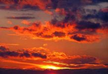 Veliki letnji horoskop za 2016