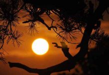 Veliki horoskop za završetak leta