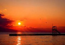 VRELI LETNJI HOROSKOP