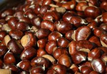 Recept za kesten pire