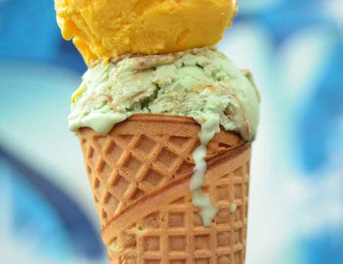 dinja-sladoled