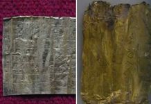 foto: facebook printscreen