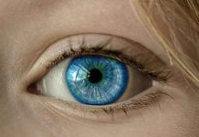 SVI PLAVOOKI LJUDI SU ROĐACI – Novo šokantno otkriće naučnika SVI PLAVOOKI LJUDI SU ROĐACI - Novo šokantno otkriće naučnika