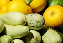 RECEPT ZA BRZU PASTU SA TIKVICAMA: Lagano, brzo i ukusno RECEPT ZA BRZU PASTU SA TIKVICAMA: Lagano, brzo i ukusno