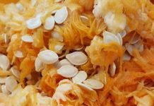 LUDAJA – Biljka od koje se diže k’o lud LUDAJA - Biljka od koje se diže