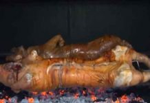 pečeno prase, ražanj, YT