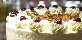 plazma torta, plazma, torta, kolač, recept, foto pixabay