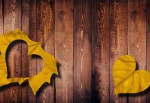 ljubavni horoskop od 16. do 30. septembra 2016