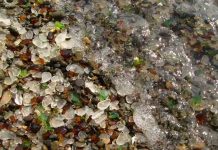 STAKLENA PLAŽA U KALIFORNIJI: Kad priroda od đubreta napravi čudo!