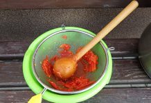 KUVANI PARADAJZ, paradajz, pire paradajz, foto pixabay