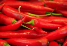 sokobanjski kavijar, kavijar, paprika, ljuta paprika, ljuto, recept, pixabay