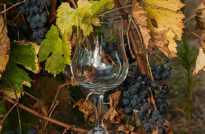 Recept za domaće vino: Uputstvo za proizvodnju domaćeg vina u kućnim uslovima!
