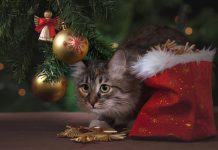 praznici-su-tu-vreme-je-za-ukrasavanje-ove-greske-nikako-ne-smete-napraviti