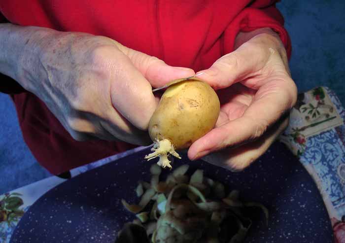 Jedan krompir može da osvetljava kuću 40 dana: Otkriće naučnika šokiralo proizvođače struje