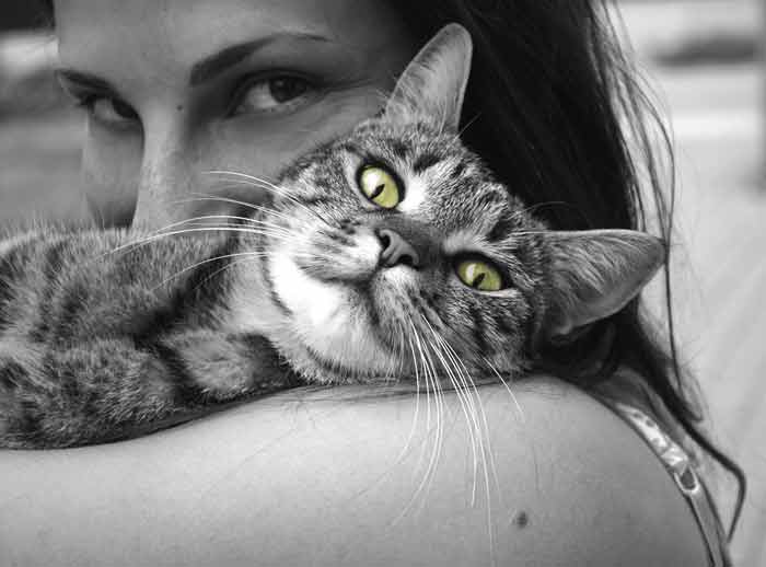 MAČKE IPAK VIŠE VOLE DAME: Kakva je to tajna veza između žena i mačaka?