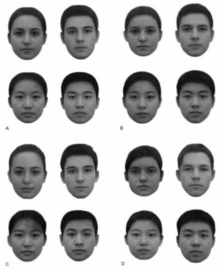 The Visibility of Social Class From Facial Cues (PDF Download Available). Available from: https://www.researchgate.net/publication/317252320_The_Visibility_of_Social_Class_From_Facial_Cues [accessed Jul 7, 2017]