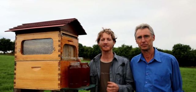 Izum od 13 miliona: Košnica sa slavinom za točenje meda - da li je ovo zaista ostvarenje pčelarskog sna?